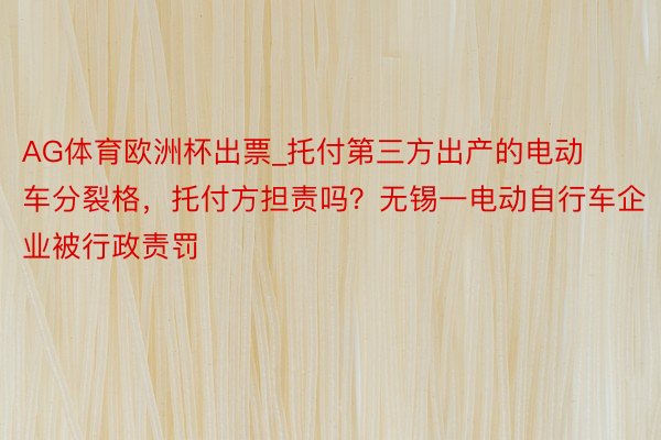 AG体育欧洲杯出票_托付第三方出产的电动车分裂格，托付方担责吗？无锡一电动自行车企业被行政责罚