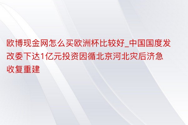 欧博现金网怎么买欧洲杯比较好_中国国度发改委下达1亿元投资因循北京河北灾后济急收复重建