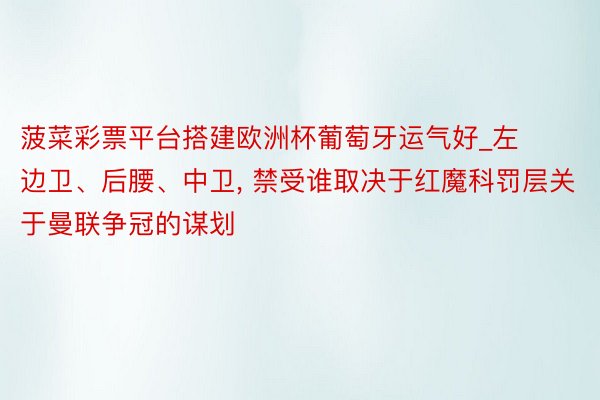菠菜彩票平台搭建欧洲杯葡萄牙运气好_左边卫、后腰、中卫, 禁受谁取决于红魔科罚层关于曼联争冠的谋划
