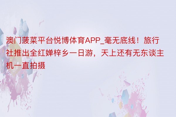 澳门菠菜平台悦博体育APP_毫无底线！旅行社推出全红婵梓乡一日游，天上还有无东谈主机一直拍摄